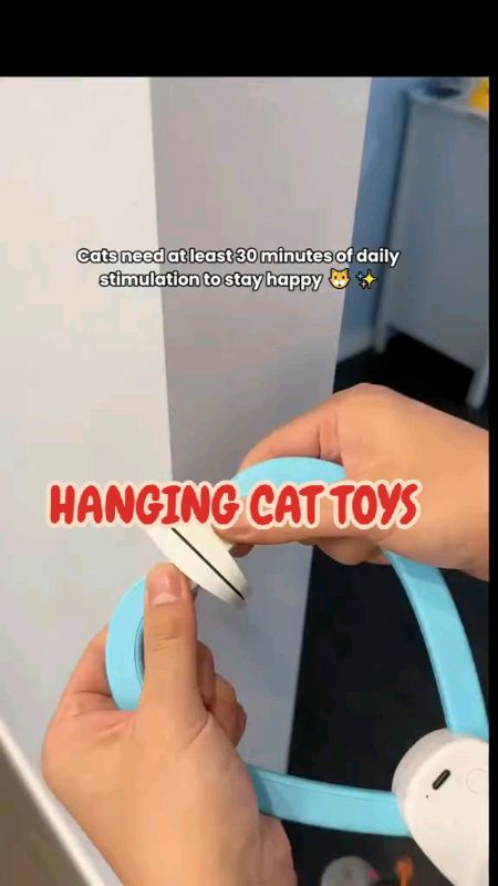 Hanging cat toys#HUGOTSASHOPEE