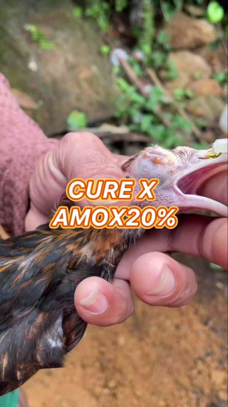 CURE X AMOX20% #amoxicillin  #oraldrop #FreeCoinsInShopeeVideo #MasMuraSaShopee #ShopeePHPaydaySale #HugotSaShopee