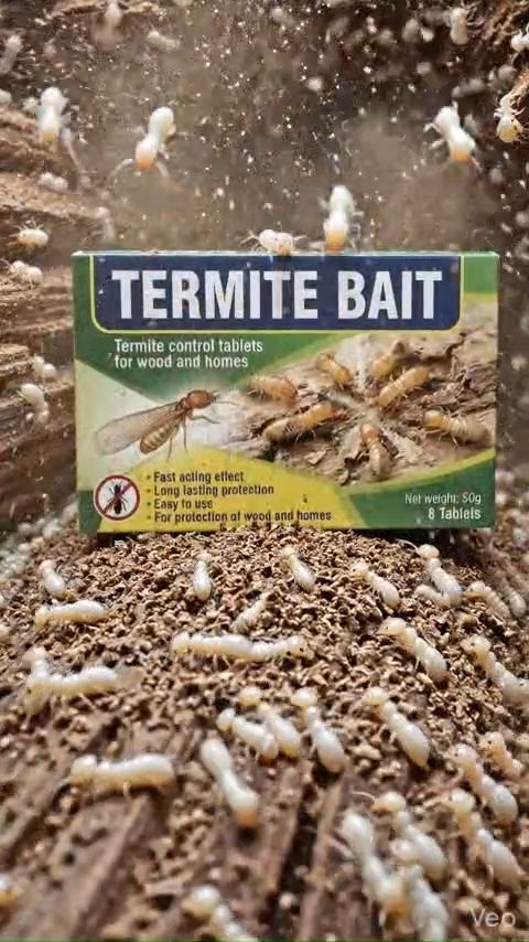 【In Stock】Anti Anay Termite Bait 8 Tablets Termite Killer for Home, Termite Killer for Wood #termite #termitebait #home #wood #antianay