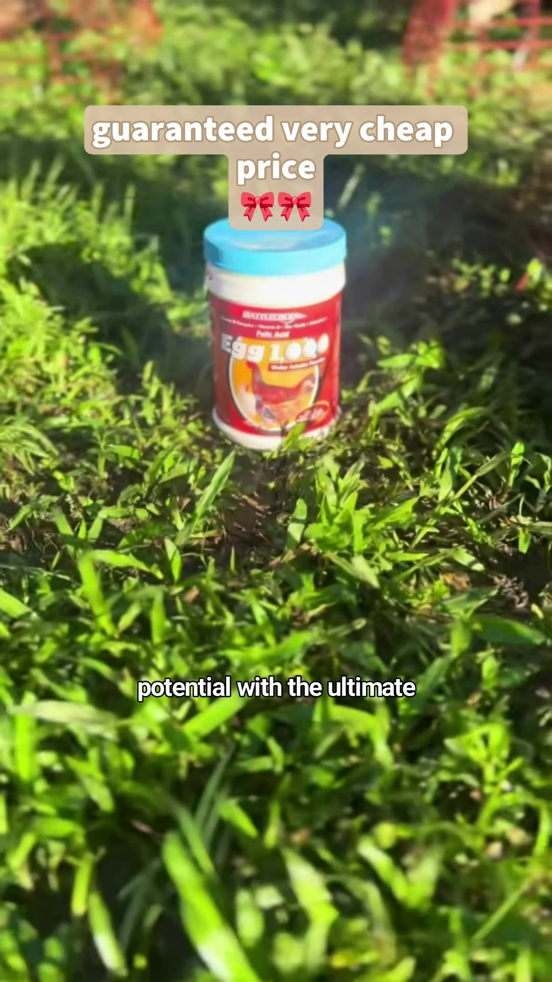Egg 1000 Breeding Animals Chicken Birds Pigeon Egg Booster #FreeCoinsInShopeeVideo #MasMuraSaShopee #shopee #fyp