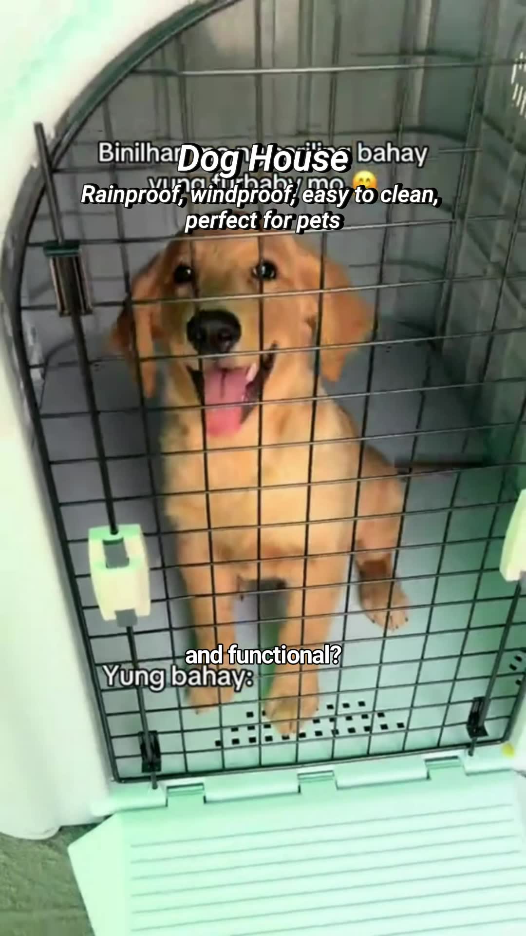 Dog House 🛒 #doghouse #MasMuraSaShopee #fyp #budolfinds #FreeCoinsInShopeeVideo