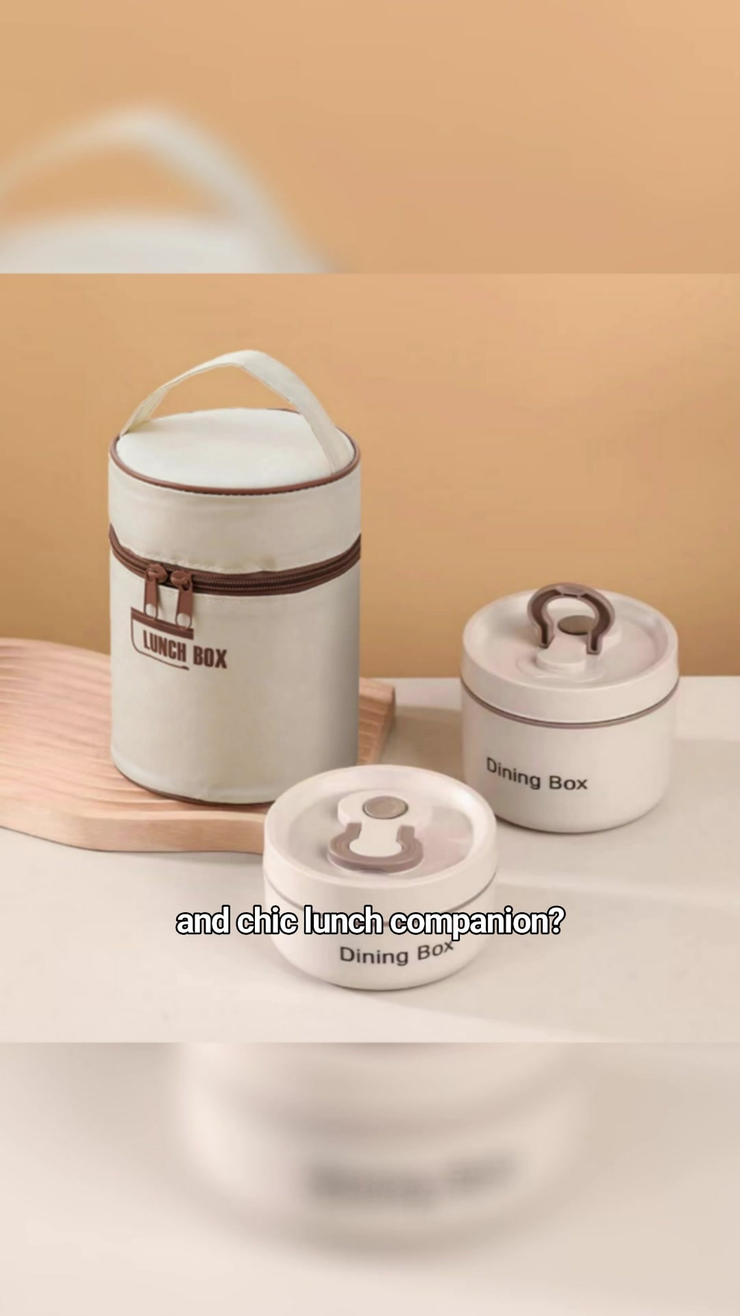Stainless Steel Bento Box 🥰 #shopee #budol #trending #viral #foryou #fyp #MasMuraSaShopee #FreeCoinsInShopeeVideo